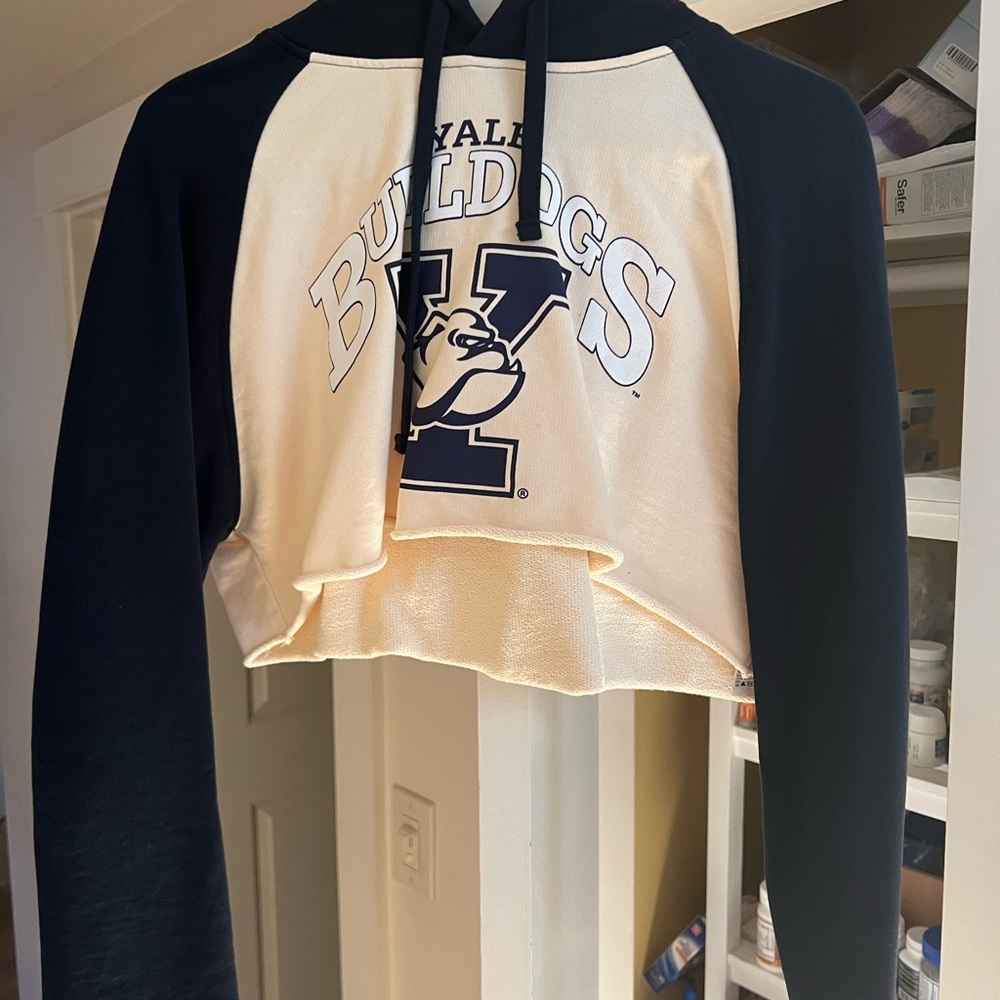 Yale bulldogs sweatshirt | Zara X Yale University